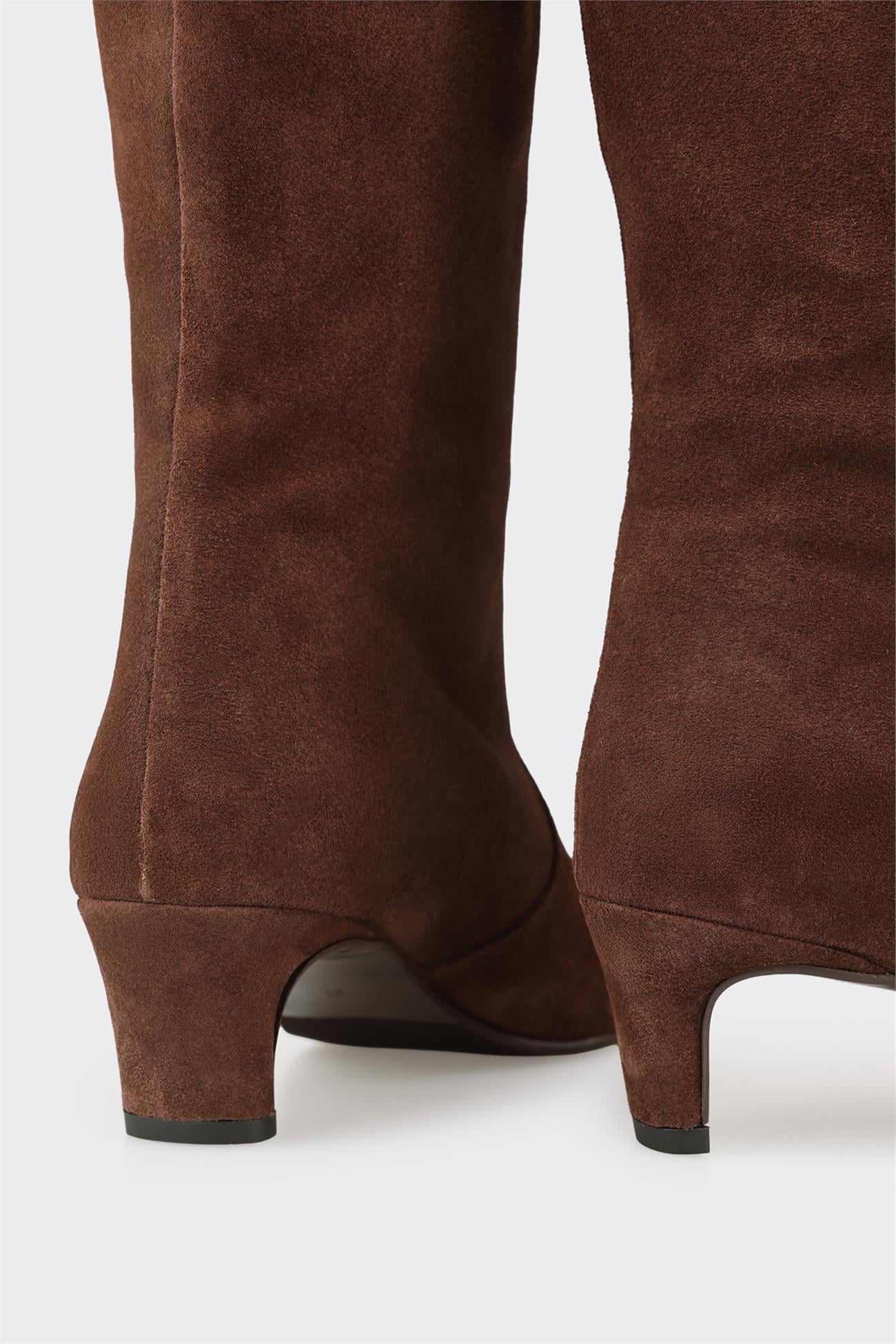 Brown Leather Women's Tall Boot