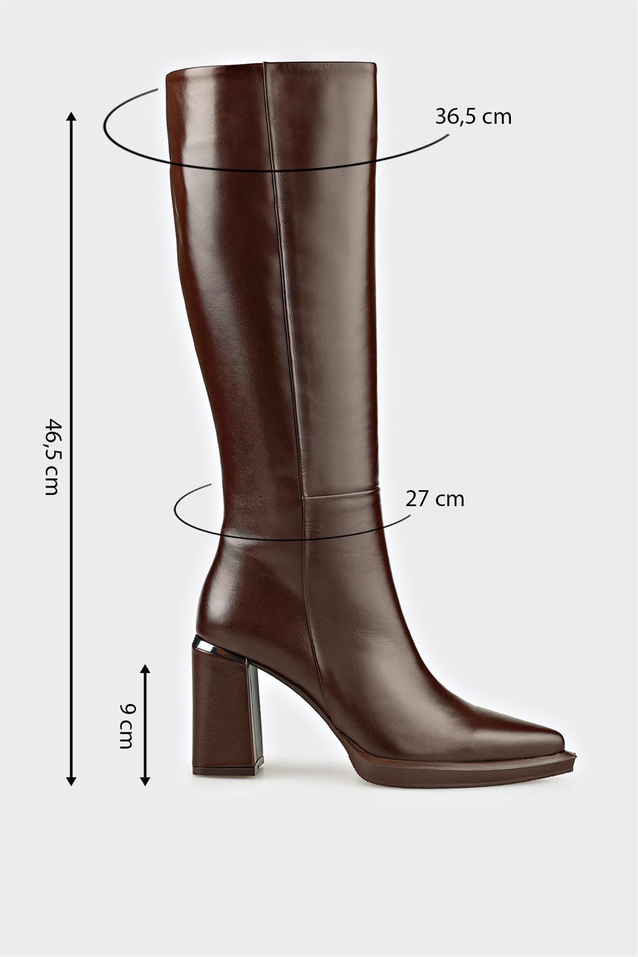 Brown Leather Women's Heellu Tall Boot