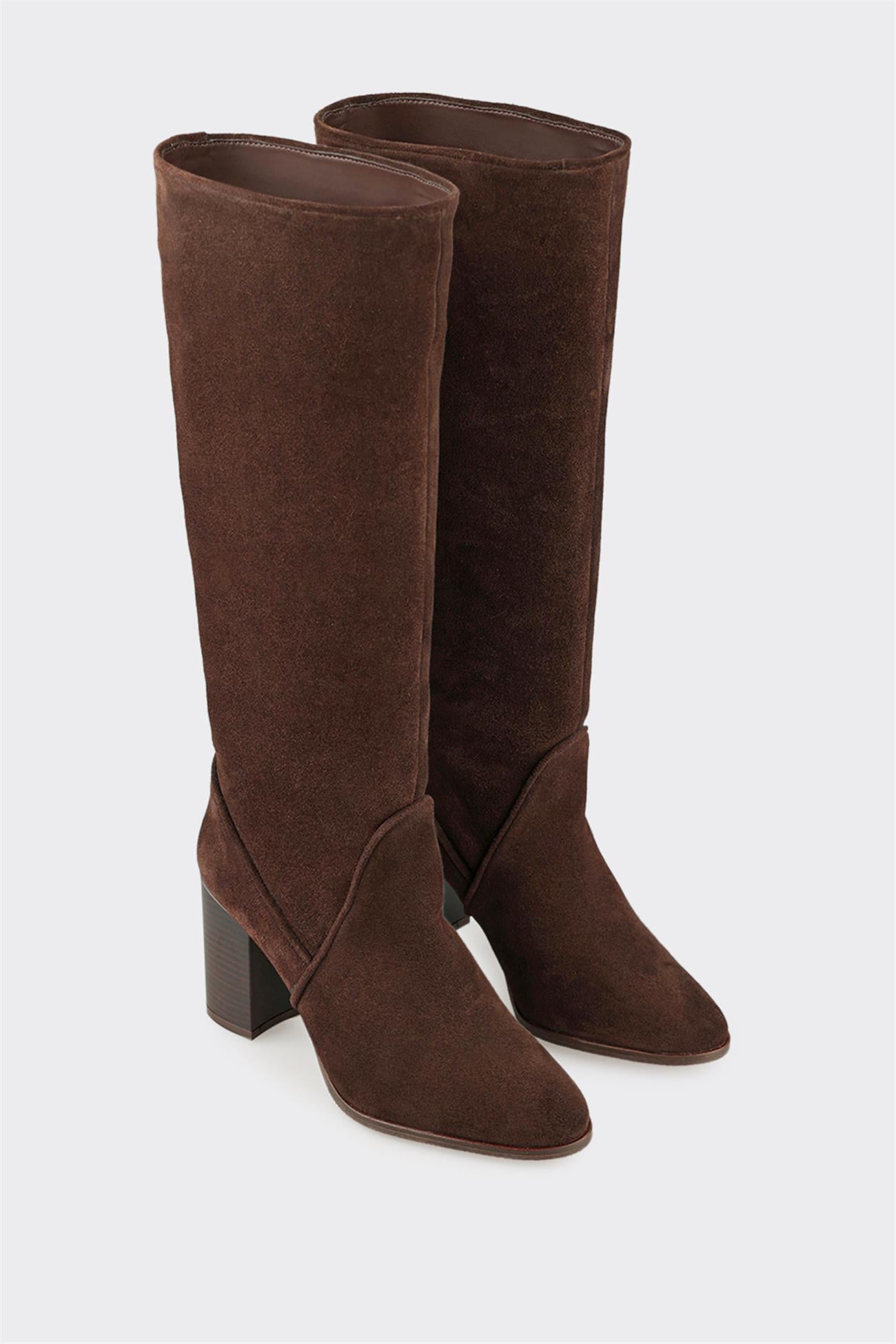 Brown Leather Women's Heellu Tall Boot