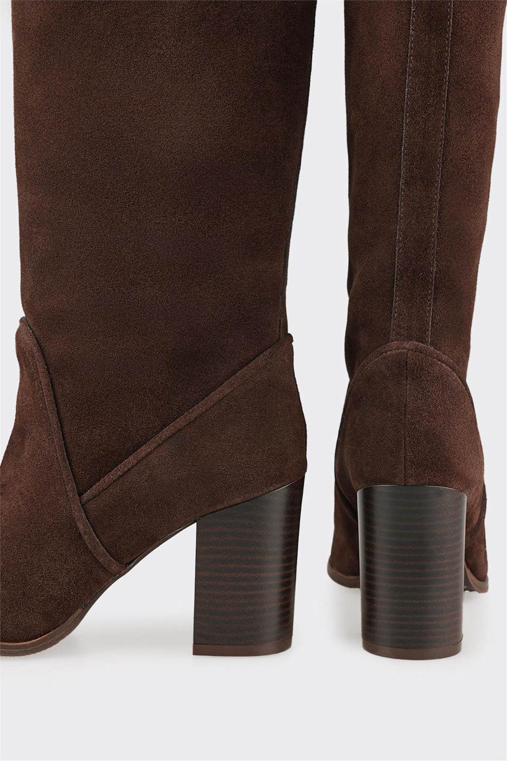 Brown Leather Women's Heellu Tall Boot