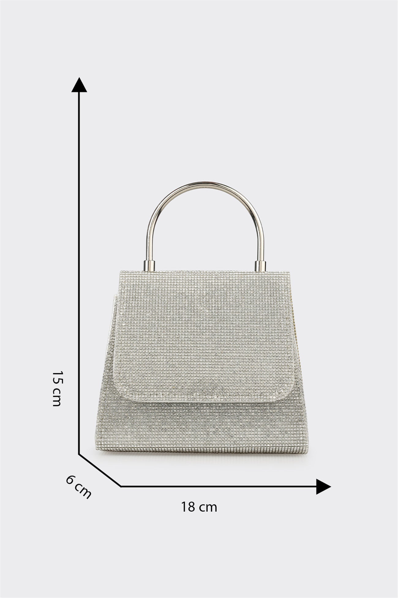 Lame Women's Handbag