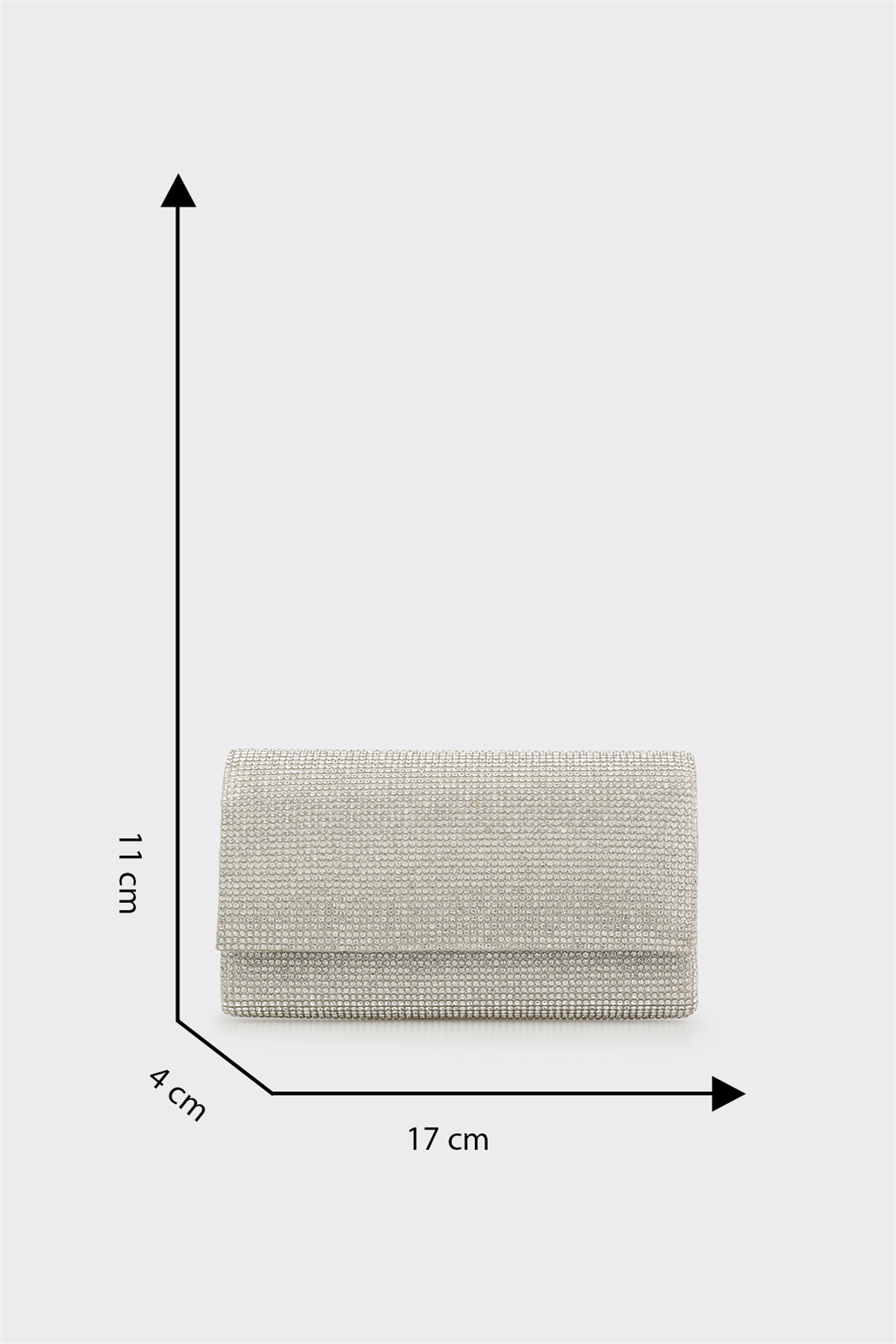 Lame Women's Handbag